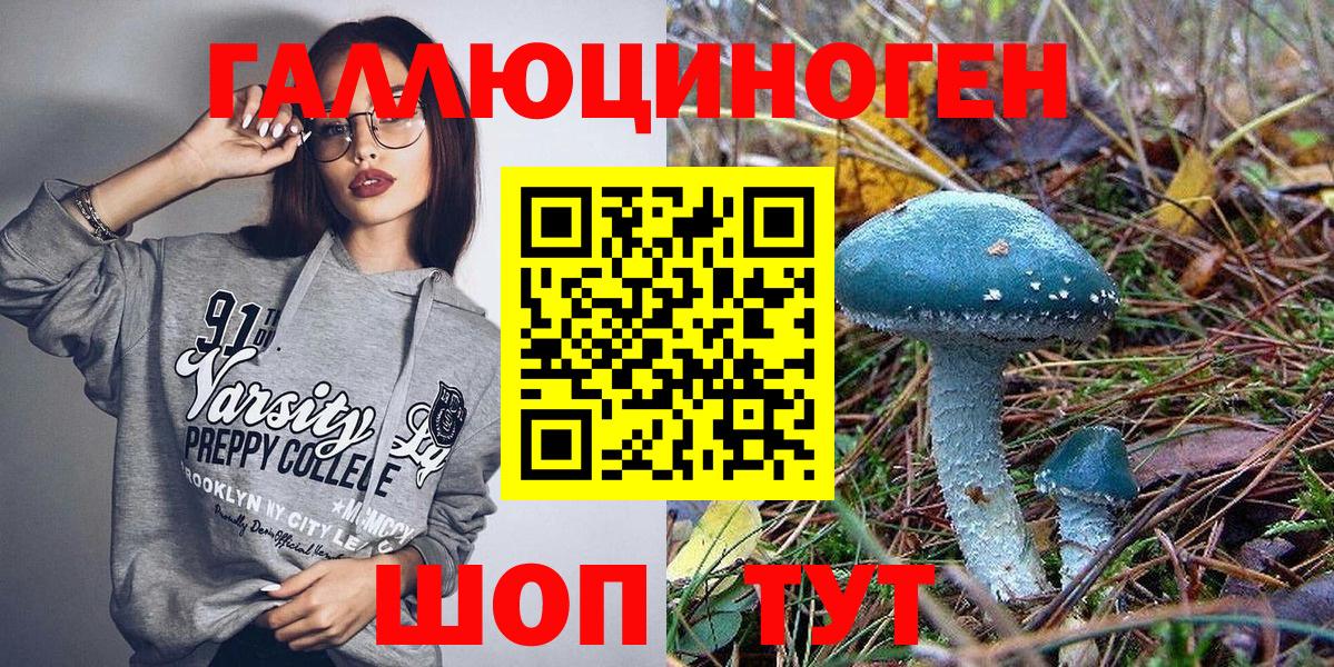 Псилоцибиновые грибы Psilocybine cubensis Тамбов