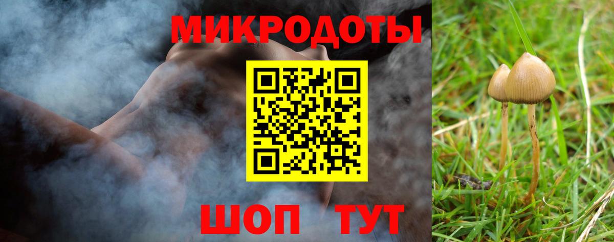 Псилоцибиновые грибы Cubensis  Вход с VPN  Тамбов  Галлюциногенные грибы Psilocybe 